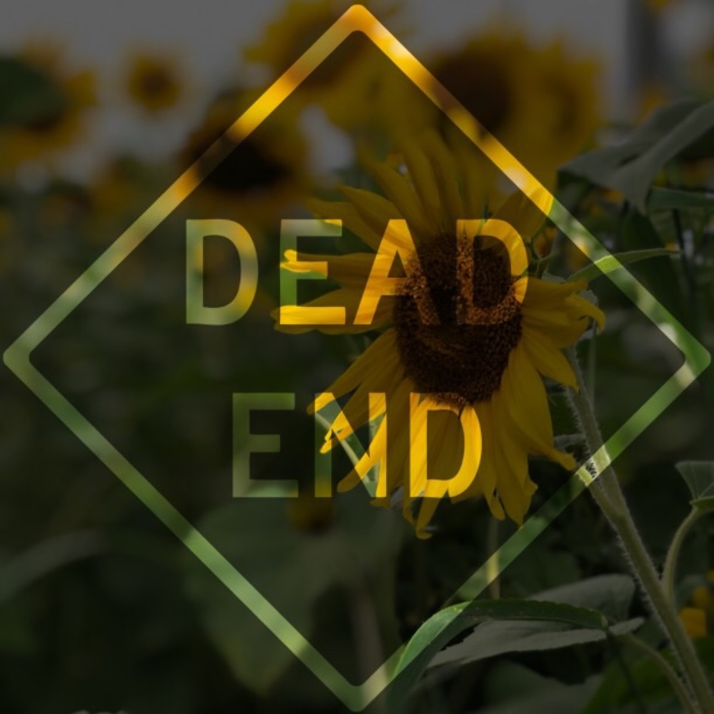 EVERYTHING BEYOND THIS HAS BEEN SOLD